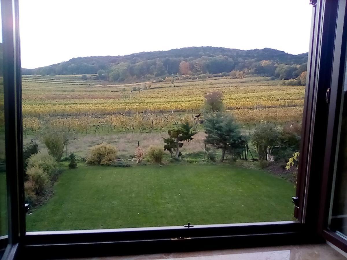 Top Over Vienna, Perchtoldsdorf Weinberge Ideal With Car 아파트 외부 사진