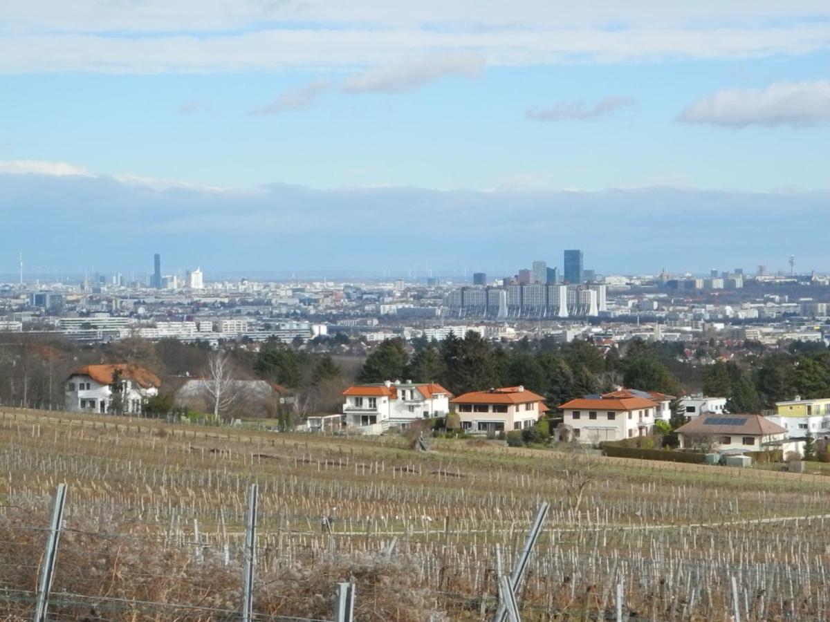 Top Over Vienna, Perchtoldsdorf Weinberge Ideal With Car 아파트 외부 사진